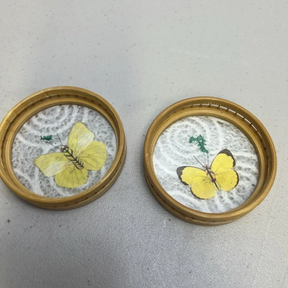 Set Of 2 Vintage Bamboo Acrylic Coaster w/ Real Pressed Butterfly